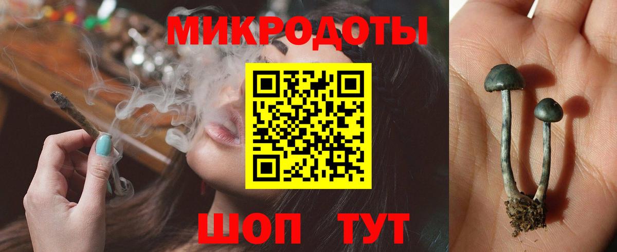Галлюциногенные грибы мицелий  Псилоцибиновые грибы Psilocybe  купить   Владимир  Вход с VPN 
