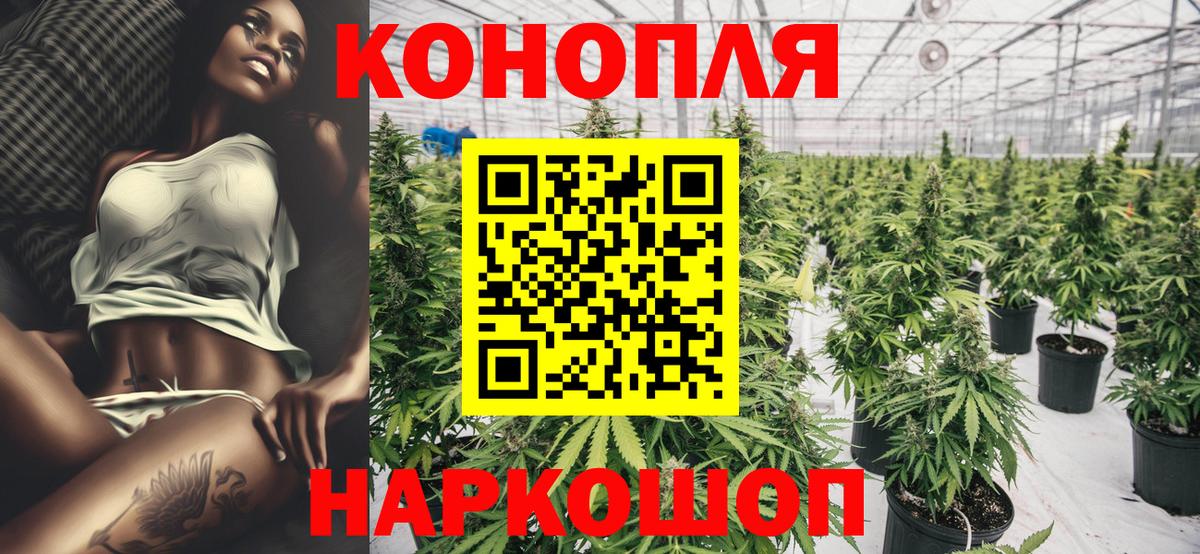 Конопля White Widow  Вход с VPN  Владимир  Шишки марихуана конопля  Бошки марихуана Bruce Banner 